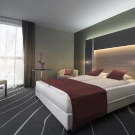 Best Western Plus Lakeside Hotel Székesfehérvár - Egyéb