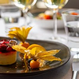 Castrum Hotel Székesfehérvár - Vendéglátás