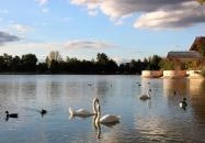 Csónakázó-tó Székesfehérvár