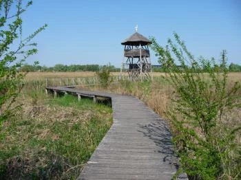 Sóstó Székesfehérvár