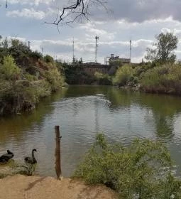 Székesfehérvári Bányató