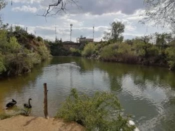 Székesfehérvári Bányató Székesfehérvár