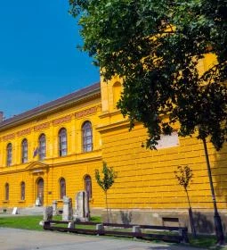 Wosinsky Mór Megyei Múzeum