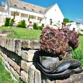 Takler Kúria Szekszárd - Medence/kert