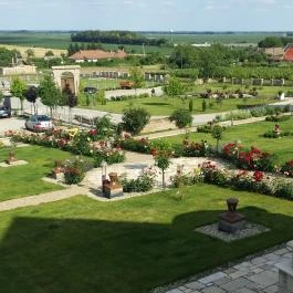 Takler Kúria Szekszárd - Medence/kert