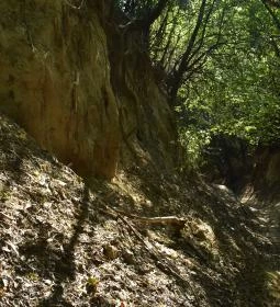 Lösz-szurdik tanösvények