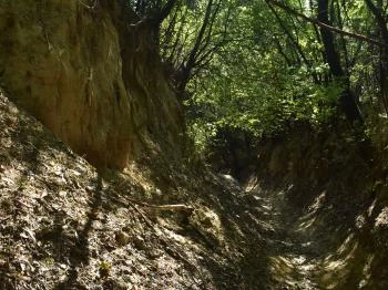 Lösz-szurdik tanösvények Szekszárd