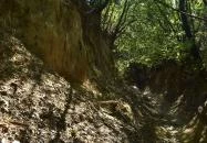 Lösz-szurdik tanösvények Szekszárd