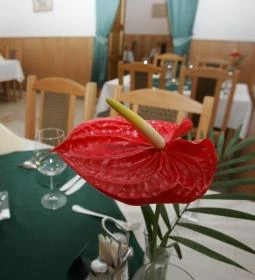 Festetich Kastélyszálló Ezüsthárs étterem