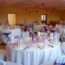 Festetich Kastélyszálló Ezüsthárs étterem Szeleste - Egyéb