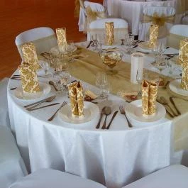 Festetich Kastélyszálló Ezüsthárs étterem Szeleste - Egyéb