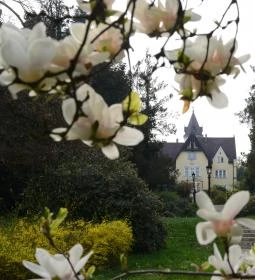 Festetich Kastélyszálló és Zsuzsanna Hotel