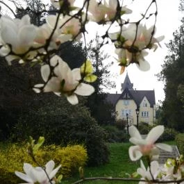Festetich Kastélyszálló és Zsuzsanna Hotel Szeleste - Külső kép