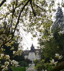 Festetich Kastélyszálló és Zsuzsanna Hotel