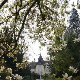 Festetich Kastélyszálló és Zsuzsanna Hotel Szeleste - Külső kép