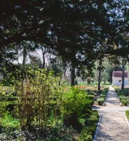 Festetich Kastélyszálló és Zsuzsanna Hotel