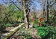 Festetich Kastélyszálló és Zsuzsanna Hotel Szeleste