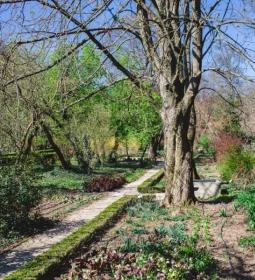 Festetich Kastélyszálló és Zsuzsanna Hotel