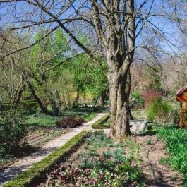 Festetich Kastélyszálló és Zsuzsanna Hotel Szeleste - Medence/kert