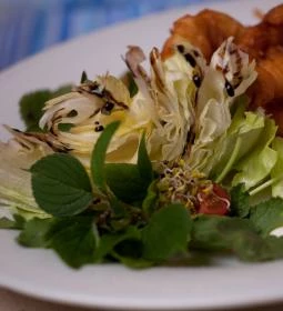 Zsóka Fogadójának Étterme