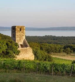 Szent Balázs templomrom