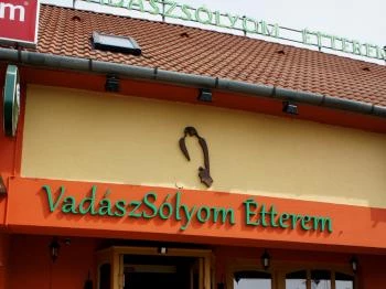 Vadászsólyom étterem Szentendre
