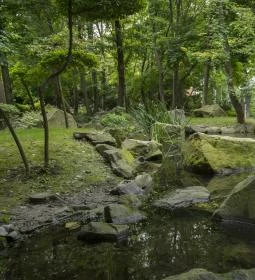 62. legjobb látnivaló: Szentendrei Japánkert