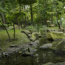 Szentendrei Japánkert Szentendre - Egyéb