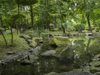 Szentendrei Japánkert Szentendre