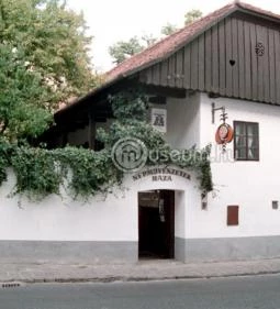 Ferenczy Múzeum - Népművészetek Háza