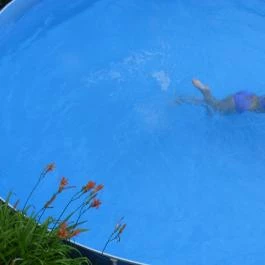 Hotel Panzió 100 Szentendre - Egyéb