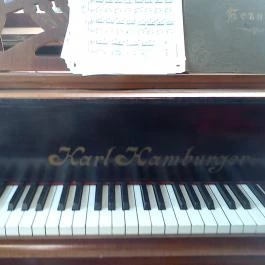 Hotel Panzió 100 Szentendre - Egyéb