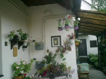 Panni Pihenőház Szentendre