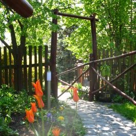 Vadrózsa Panzió Szentendre - Egyéb