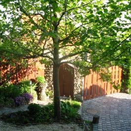 Vadrózsa Panzió Szentendre - Egyéb