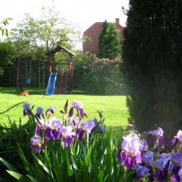 Vadrózsa Panzió Szentendre - 