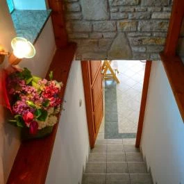 Vadrózsa Panzió Szentendre - Belső