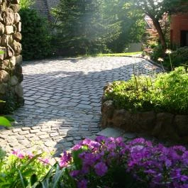 Vadrózsa Panzió Szentendre - Medence/kert