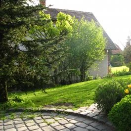 Vadrózsa Panzió Szentendre - Medence/kert