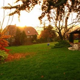 Vadrózsa Panzió Szentendre - Egyéb