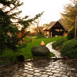 Vadrózsa Panzió Szentendre - Medence/kert