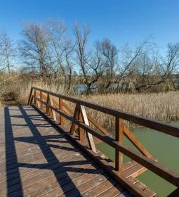 Úszóláp tanösvény