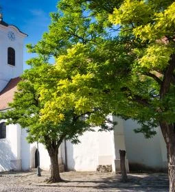 Keresztelő Szent János Plébániatemplom