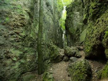 Vasas-szakadék Szentendre