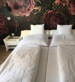 Éjjeli Bagoly Panzió