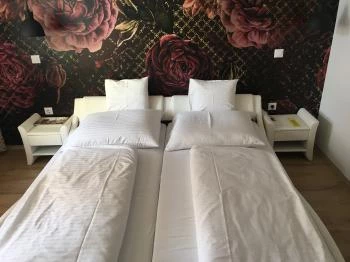 Éjjeli Bagoly Panzió Szentes