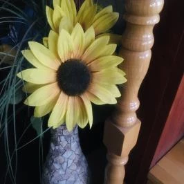 Éjjeli Bagoly Panzió Szentes - Belső