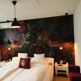 Éjjeli Bagoly Panzió Szentes - Szobák