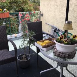 Éjjeli Bagoly Panzió Szentes - Medence/kert