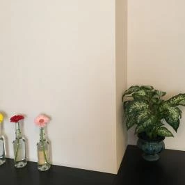 Éjjeli Bagoly Panzió Szentes - Egyéb